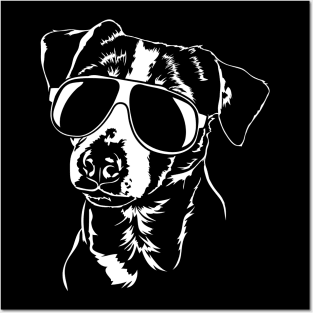 Jack Russell Terrier sunglasses cool dog Posters and Art